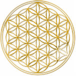Photo Sculpture FLEURS DE VIE - or<br><div class="desc">Symbole spirituelART par EDDA Fröhlich | La Fleur de Vie est le langage original de l'univers : formes,  géométrie,  nombres et proportions. Il rayonne l'harmonie et la perfection de la géométrie sainte et représente l'infini et l'ordre parfait.</div>