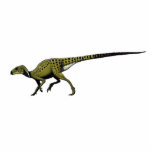 Photo Sculpture Heterodontosaurus de sculpture en photo de<br><div class="desc">Basé outre de l'illustration de couleur de Gregory Paul,  c'est légèrement plus petit que l'autre sculpte. Avec la plupart des personnes voulant les grands dinos dangereux celui-ci devrait être une rareté.</div>