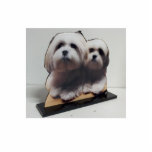 Photo Sculpture La sculpture acrylique en photo coupée tiennent<br><div class="desc">Concevez vos propres en téléchargeant vos images numériques ou photo préférées à l'affichage dans votre maison ou bureau ! Les sculptures faites sur commande en photo de Zazzle vous permettent de tourner votre photo préférée ou le portrait dans un souvenir spécial, transforment votre photographie ou photo numérique en sculpture à...</div>