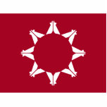 Photo Sculpture Oglala Sioux<br><div class="desc">Pine Ridge. Oglala Lakota Sioux. Dakota Native American flag.</div>