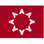 Photo Sculpture Oglala Sioux<br><div class="desc">Pine Ridge. Oglala Lakota Sioux. Dakota Native American flag.</div>