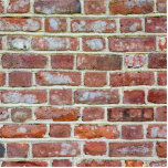 Photo Sculpture Old Brick<br><div class="desc">Old brick terra cotta colored wall</div>