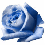 Photo Sculpture Sculpture en photo de rose de bleu<br><div class="desc">Sculpture en photo de rose de bleu</div>