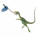 Photo Sculpture Sculpture Greg Paul en photo de dinosaure de<br><div class="desc">Celui-ci est très sensible… et peu commun. Sinosauropteryx,  un petit dinosaure prédateur chinois.</div>