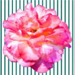 Photo Sculpture Sculpture rose simple<br><div class="desc">Cette rose rose unique de Zazzle et Elizabeth's Creative Poursuites présente une rose unique. Il est également disponible avec une seule rose jaune, une seule rose rouge ou une seule rose blanche. Les roses rouges symbolisent l'amour et la passion, les roses jaunes symbolisent l'amitié, les roses roses roses symbolisent l'admiration...</div>