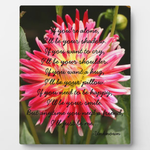 Photo Si vous êtes seul... Plaque