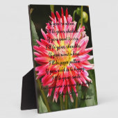 Photo Si vous êtes seul... Plaque (Côté)