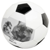 Photo simple, moderne personnalisée pour animaux d (3/4)