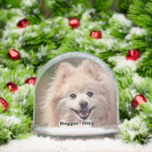 Photo simple Poméranie personnalisée Chien (Noël)