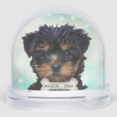 Photo sur mesure Yorkshire Terrier Chien Chien Chi (Arrière)