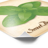 Photo Sweet Basil Herb (Coin)