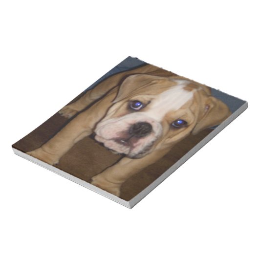 Photo Te, plaque Bloc-notes (Tourné)