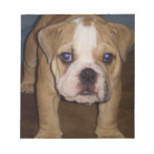 Photo Te, plaque Bloc-notes (Devant)