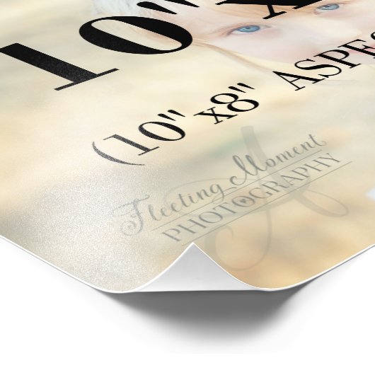 Photo Template Professional 10 x 8 (Coin)