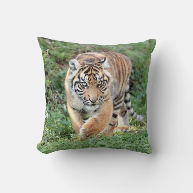 Photo tiger, chat, animaux. Coussin décoratif (Recto)