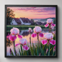 Iris en fleurs au bord d'un lac tranquille au couc