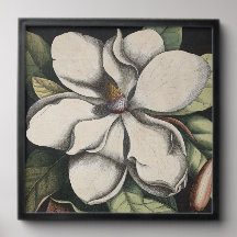 Magnolia Vintage