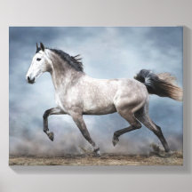 Magnifique cheval gris ciel dramatique paysage sab