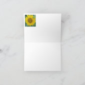 Photo tournesol (Intérieur)