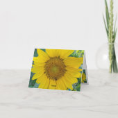 Photo tournesol (Dos)