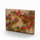 Photo une montée rose sur un mur de briques sur le bloc  (Droite)