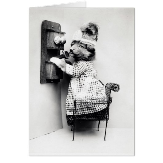 Photo vintage - chien au téléphone, (Devant)