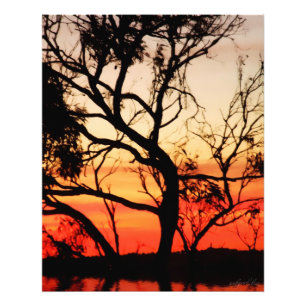 Photo vivante de silhouette de coucher du soleil