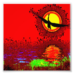 Photo Vol de coucher de soleil – Impression d'art vibran