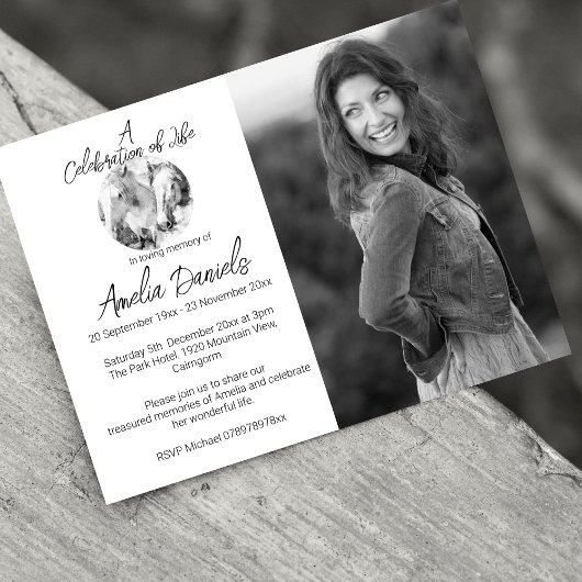 Photo White Pony Célébration de la carte de vie