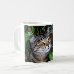 Photo Your Pet Cat Cat Coffee Mug