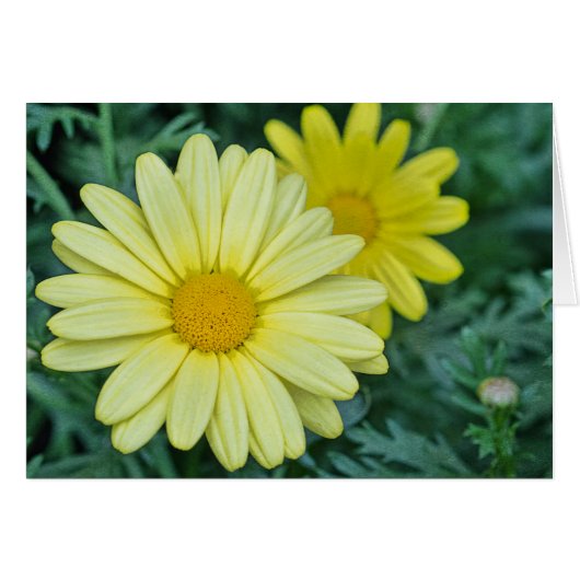 PhotoArt Jaune Personnalisable (Devant horizontal)