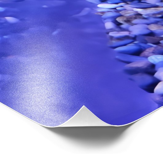 Photograph #Y040 on MEDIUM SIZE Poster (Hoek)