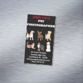 Photographe animal Carte de visite plié (In Situ)