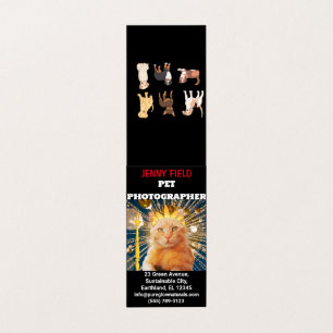Photographe animal photo Carte de visite plié