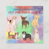 Photographe pour animaux - Carte de visite de la p (Devant)