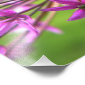 Photographie à fleurs violettes (Coin)