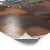 Photographie avec lézard Iguana coloré (Coin)