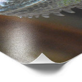 Photographie avec tête d'un lézard Iguana coloré (Coin)