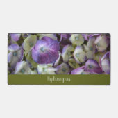 Photographie botanique de l'Hydrangée violette et  (Recto)