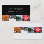 Photographie Carte de visite 4 saisons (Devant / Derrière)