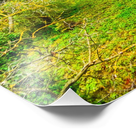 Photographie Château de Corvin (Coin)