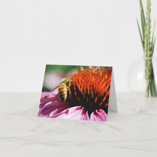 Photographie d'abeille sur fleur (Devant)