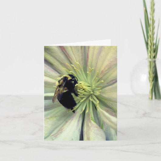 Photographie d'abeille sur fleur de clématite (Devant)