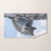 Photographie d'animal, Écureuil curieux (Serviette à main)
