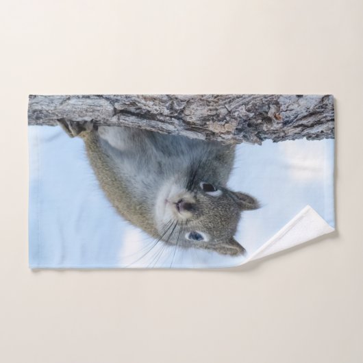 Photographie d'animal, Écureuil curieux (Serviette à main)