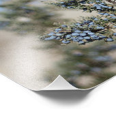 Photographie de baies de genévrier (Coin)