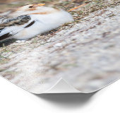 Photographie de bruissement de neige (Coin)