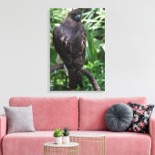 Photographie de Buse à queue rousse sur toile enve (Insitu(Salon))
