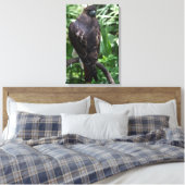 Photographie de Buse à queue rousse sur toile enve (Insitu(Chambre))