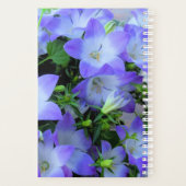 Photographie de Campanules Violettes (Dos)